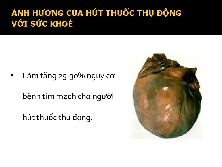 ẢNH HƯỞNG CỦA HÚT THUỐC THỤ ĐỘNG VỚI SỨC KHOẺ § Làm tăng 25