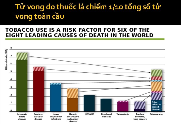 Tử vong do thuốc lá chiếm 1/10 tổng số tử vong toàn cầu 