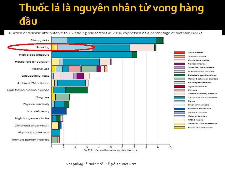 Thuốc lá là nguyên nhân tử vong hàng đầu Văn phòng Tổ chức Y