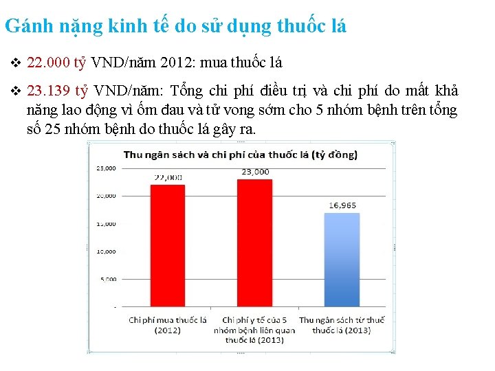 Gánh nặng kinh tế do sử dụng thuốc lá v 22. 000 tỷ VND/năm