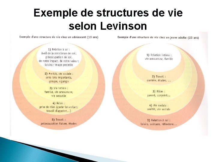 Exemple de structures de vie selon Levinson 