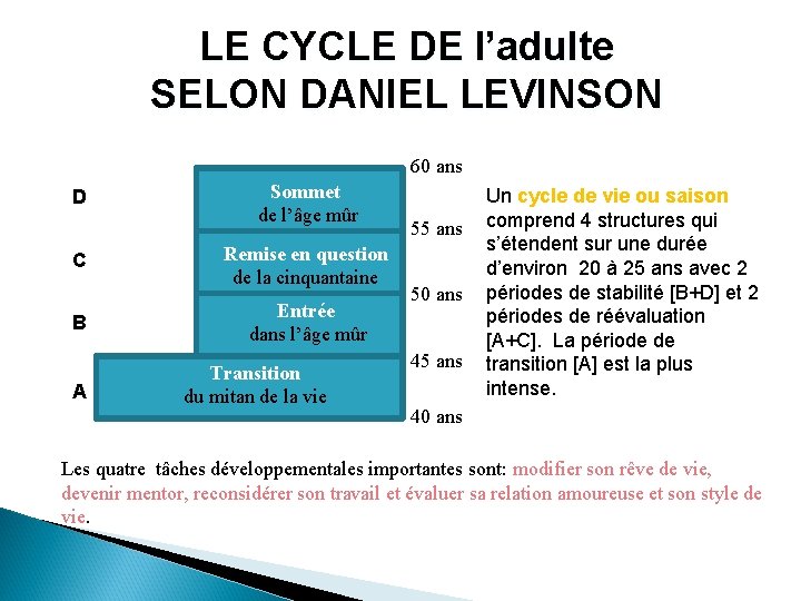 LE CYCLE DE l’adulte SELON DANIEL LEVINSON 60 ans D C B A Sommet