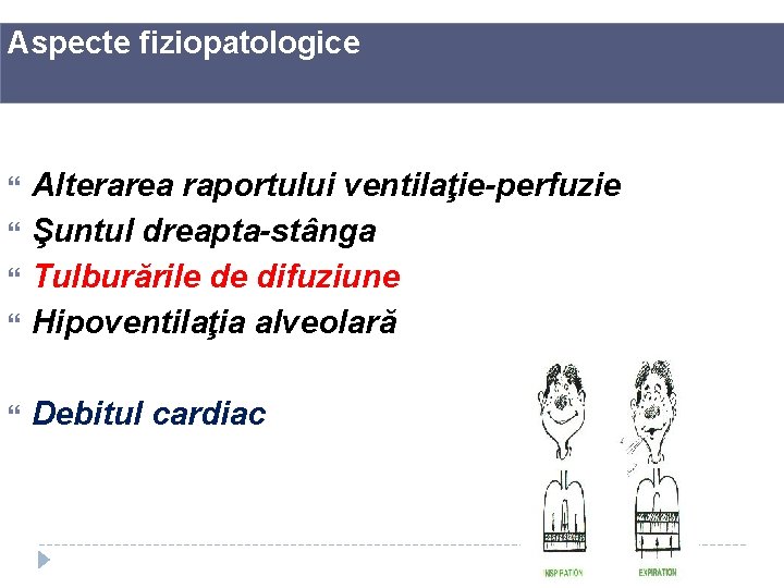 Aspecte fiziopatologice Alterarea raportului ventilaţie-perfuzie Şuntul dreapta-stânga Tulburările de difuziune Hipoventilaţia alveolară Debitul cardiac