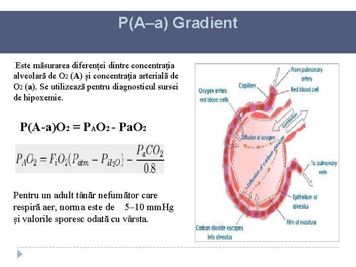 P(A–a) Gradient Este măsurarea diferenței dintre concentrația alveolară de O 2 (A) și concentrația