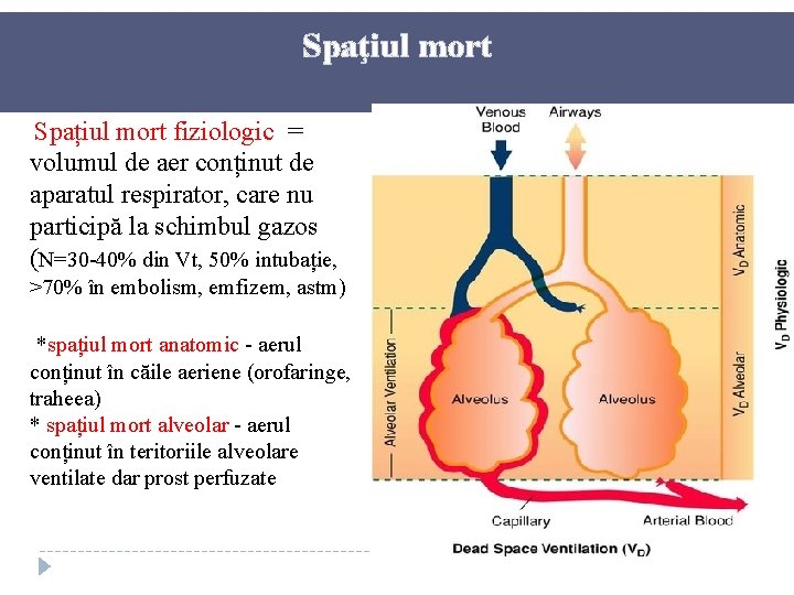 Spaţiul mort Spațiul mort fiziologic = volumul de aer conținut de aparatul respirator, care