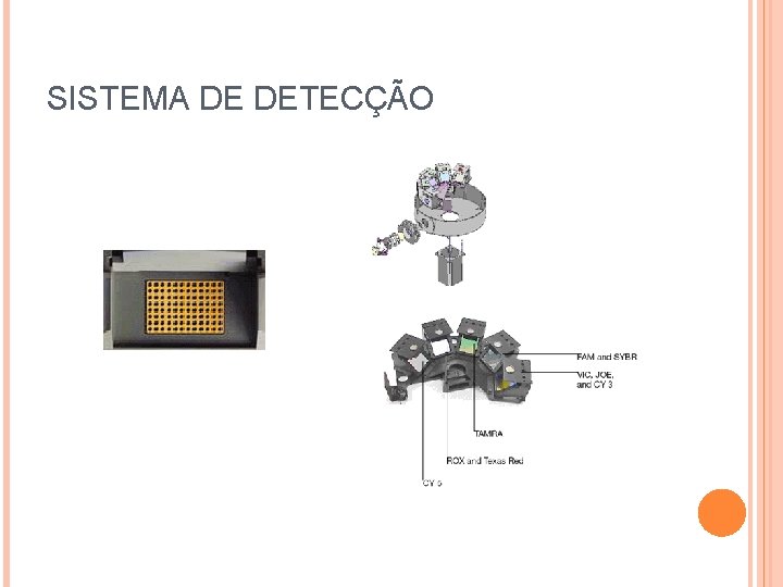 SISTEMA DE DETECÇÃO SISTEMA DE DETECÇÃO