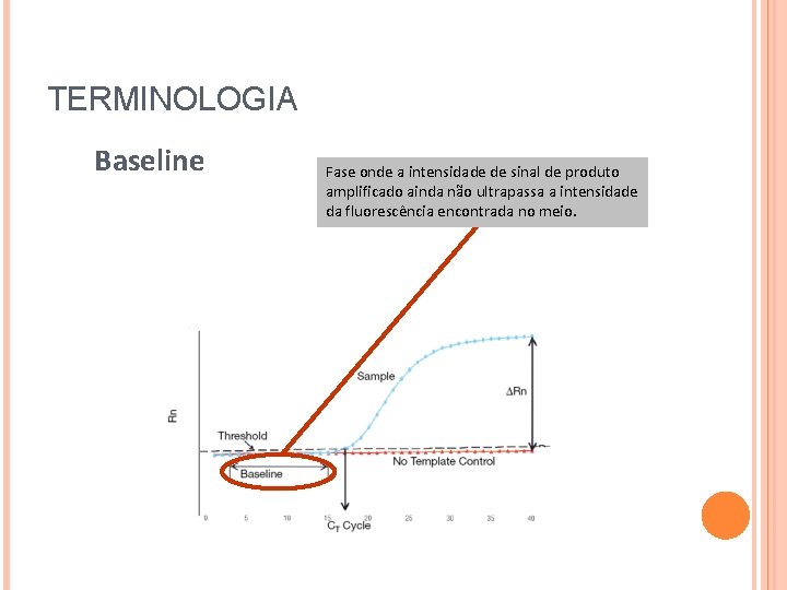 TERMINOLOGIA Baseline Fase onde a intensidade de sinal de produto amplificado ainda não ultrapassa TERMINOLOGIA Baseline Fase onde a intensidade de sinal de produto amplificado ainda não ultrapassa