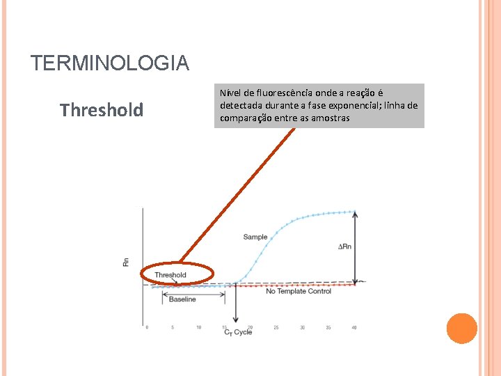TERMINOLOGIA Threshold Nível de fluorescência onde a reação é detectada durante a fase exponencial; TERMINOLOGIA Threshold Nível de fluorescência onde a reação é detectada durante a fase exponencial;