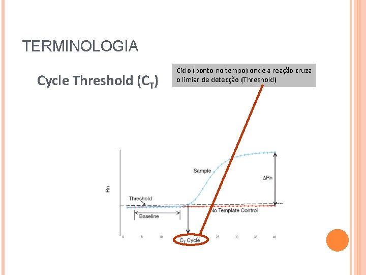 TERMINOLOGIA Cycle Threshold (CT) Ciclo (ponto no tempo) onde a reação cruza o limiar TERMINOLOGIA Cycle Threshold (CT) Ciclo (ponto no tempo) onde a reação cruza o limiar