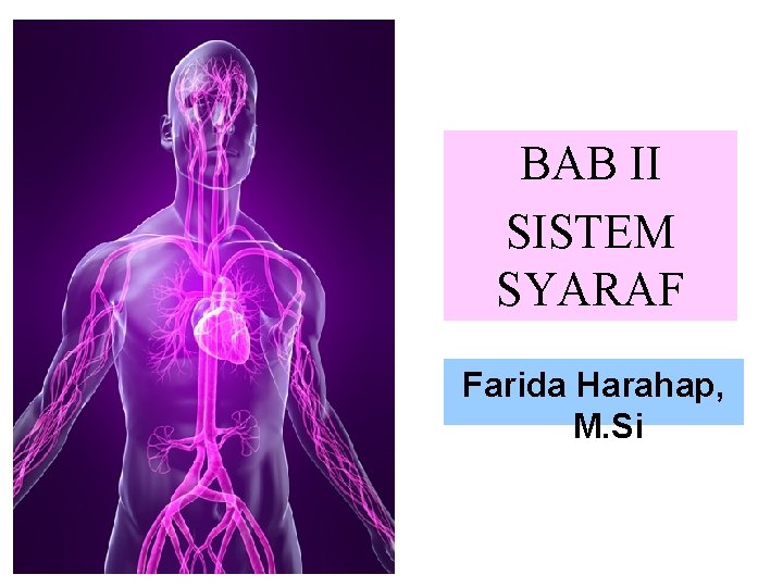 BAB II SISTEM SYARAF Farida Harahap, M. Si 