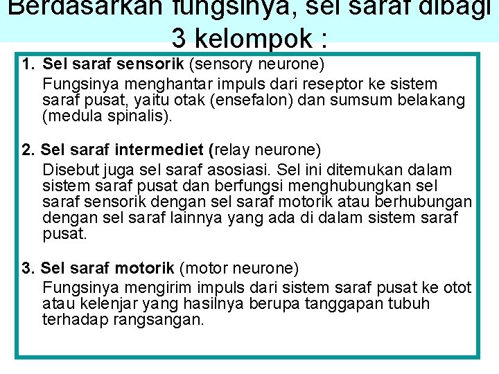 Berdasarkan fungsinya, sel saraf dibagi 3 kelompok : 1. Sel saraf sensorik (sensory neurone)