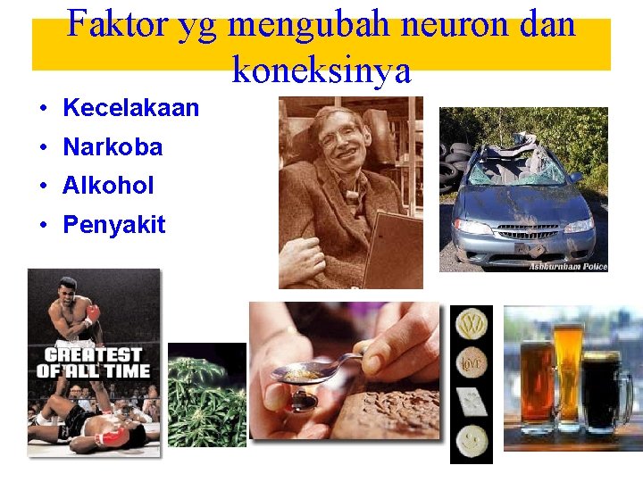 Faktor yg mengubah neuron dan koneksinya • Kecelakaan • Narkoba • Alkohol • Penyakit