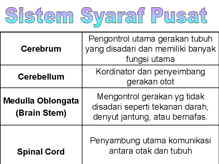 Cerebrum Cerebellum Pengontrol utama gerakan tubuh yang disadari dan memiliki banyak fungsi utama Kordinator