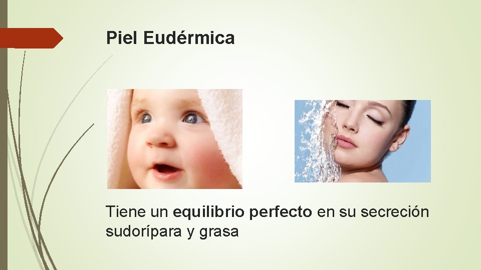 Piel Eudérmica Tiene un equilibrio perfecto en su secreción sudorípara y grasa 
