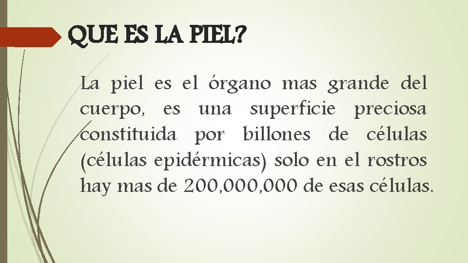 QUE ES LA PIEL? La piel es el órgano mas grande del cuerpo, es