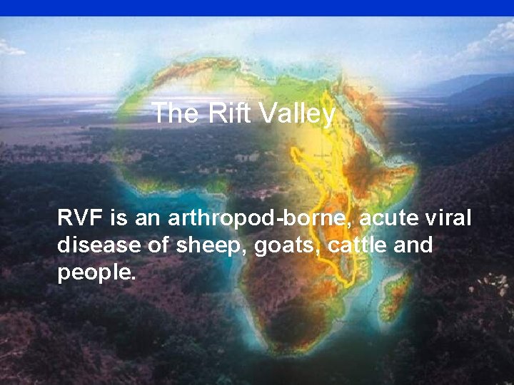 The Rift Valley RVF is an arthropod-borne, acute viral disease of sheep, goats, cattle
