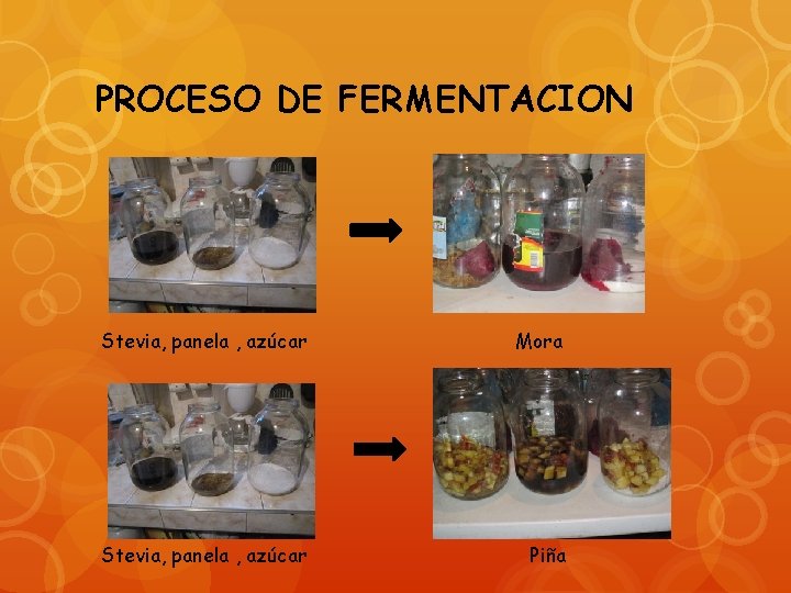 PROCESO DE FERMENTACION Stevia, panela , azúcar Mora Stevia, panela , azúcar Piña 