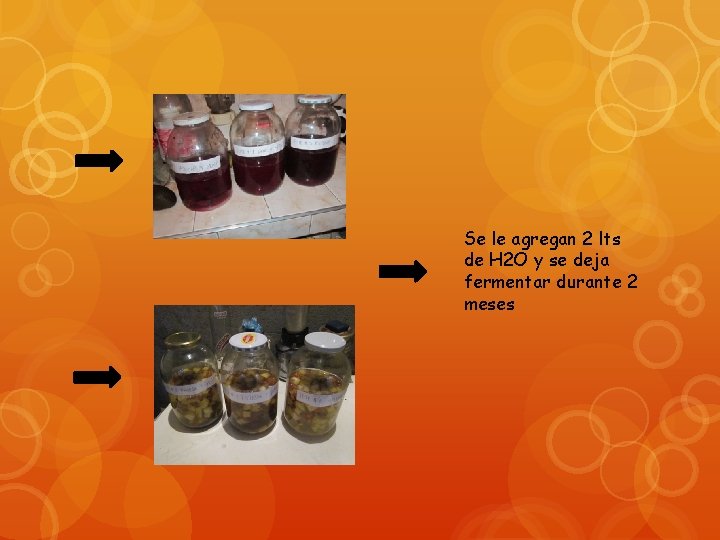 Se le agregan 2 lts de H 2 O y se deja fermentar durante