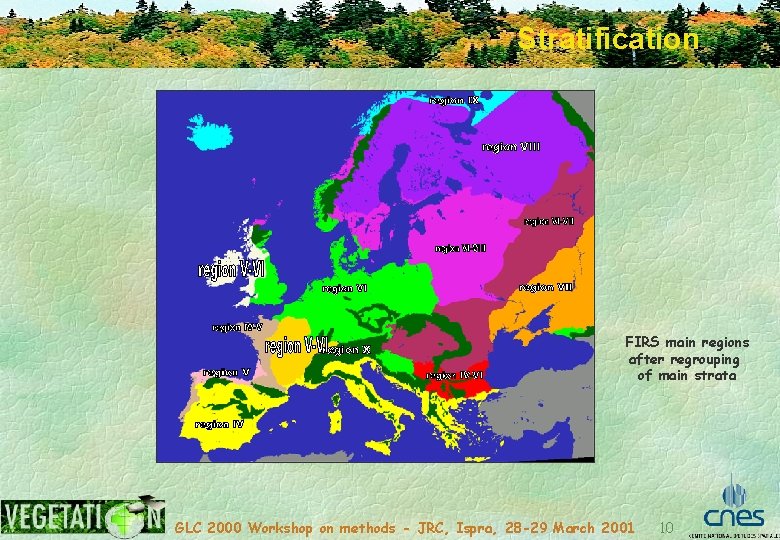 Stratification FIRS main regions after regrouping of main strata GLC 2000 Workshop on methods