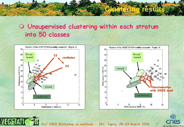 Clustering results m Unsupervised clustering within each stratum into 50 classes Broadleaved 15 Broadleaved