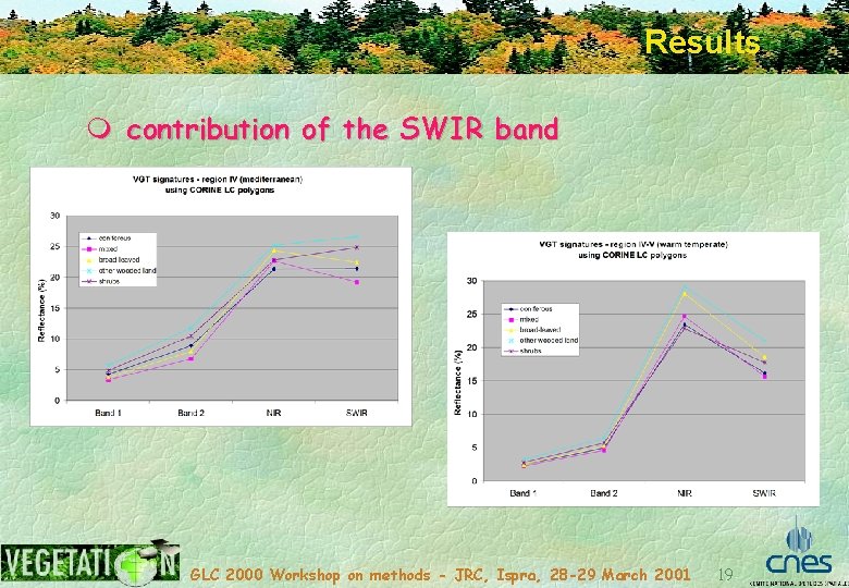 Results m contribution of the SWIR band GLC 2000 Workshop on methods - JRC,