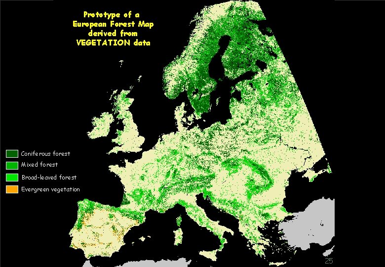 Prototype of a European Forest Map derived from VEGETATION data Coniferous forest Mixed forest