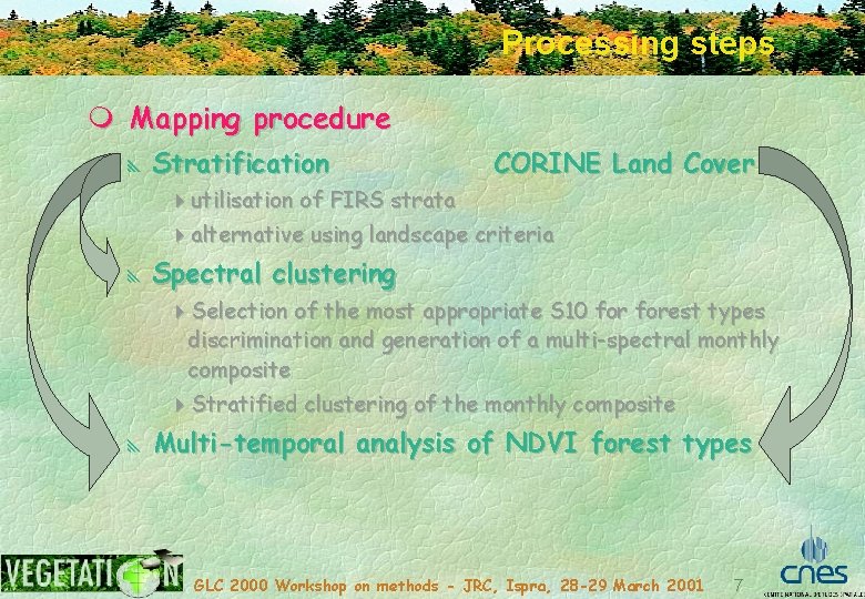 Processing steps m Mapping procedure y Stratification CORINE Land Cover 4 utilisation of FIRS