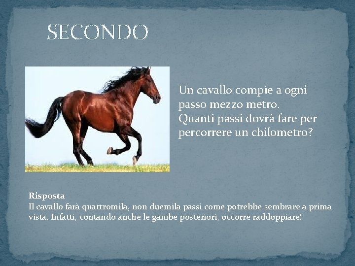 SECONDO Un cavallo compie a ogni passo mezzo metro. Quanti passi dovrà fare percorrere