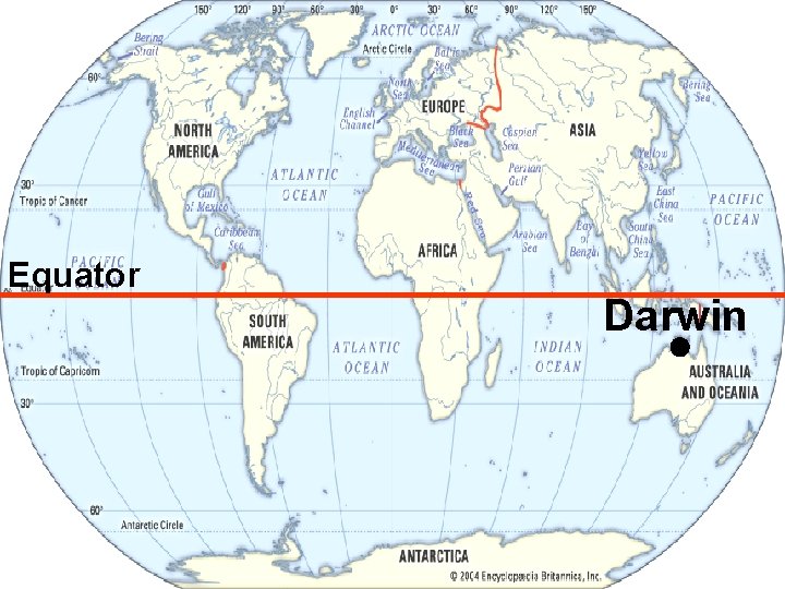 Equator Darwin 