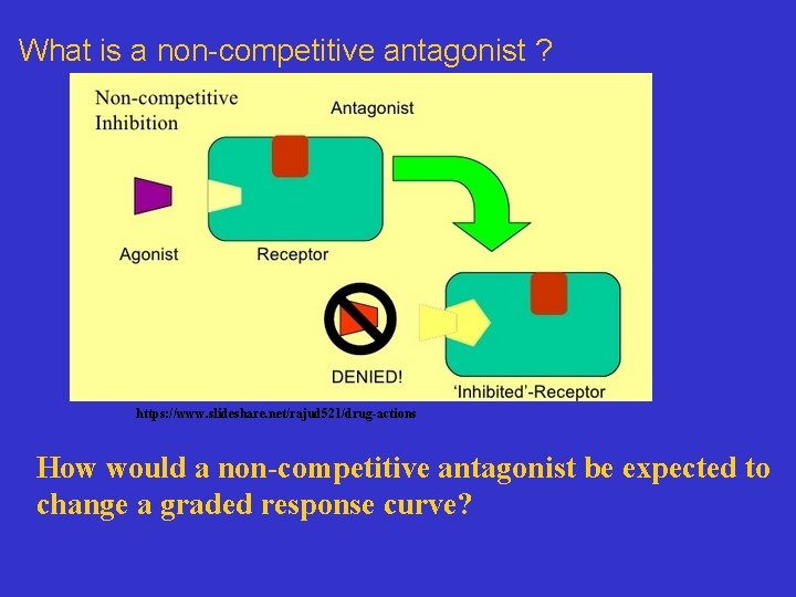 What is a non-competitive antagonist ? https: //www. slideshare. net/rajud 521/drug-actions How would a
