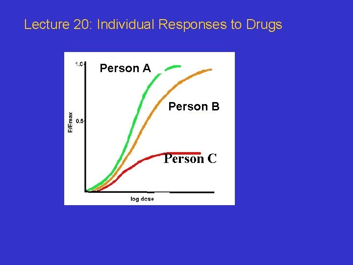 Lecture 20: Individual Responses to Drugs Person A Person B Person C 