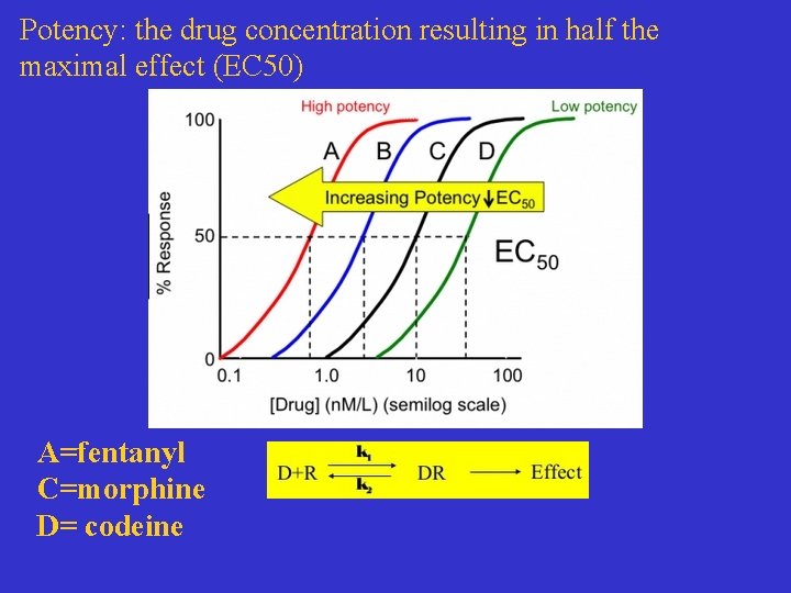 Potency: the drug concentration resulting in half the maximal effect (EC 50) A=fentanyl C=morphine