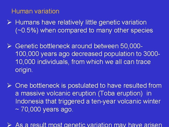 Human variation Ø Humans have relatively little genetic variation (~0. 5%) when compared to