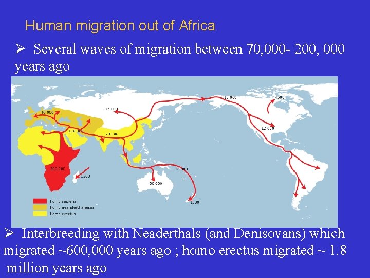 Human migration out of Africa Ø Several waves of migration between 70, 000 -