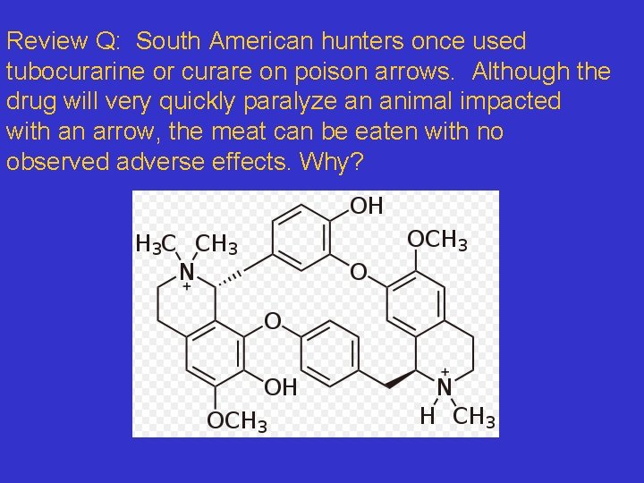 Review Q: South American hunters once used tubocurarine or curare on poison arrows. Although