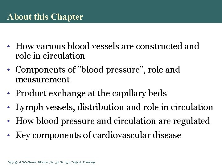 About this Chapter • How various blood vessels are constructed and role in circulation