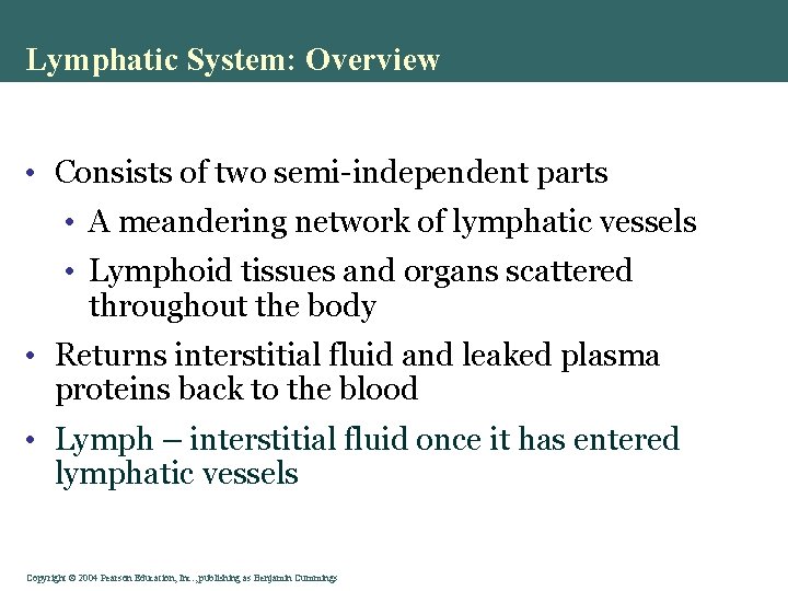 Lymphatic System: Overview • Consists of two semi-independent parts • A meandering network of