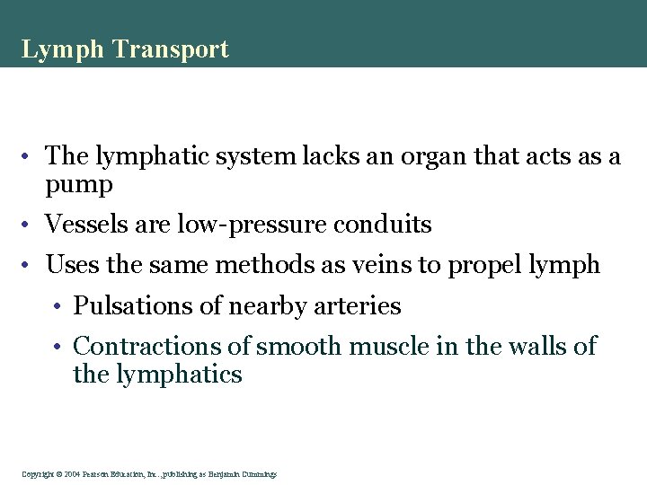 Lymph Transport • The lymphatic system lacks an organ that acts as a pump