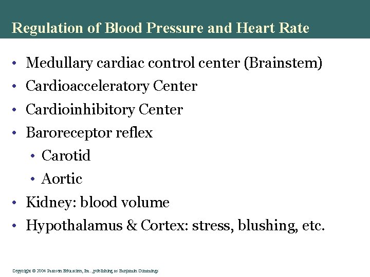 Regulation of Blood Pressure and Heart Rate • Medullary cardiac control center (Brainstem) •