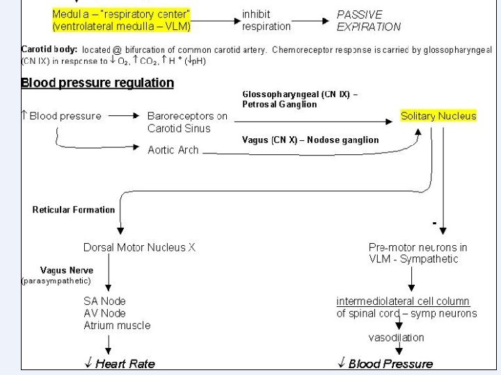 Copyright © 2004 Pearson Education, Inc. , publishing as Benjamin Cummings 