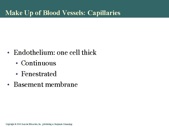 Make Up of Blood Vessels: Capillaries • Endothelium: one cell thick • Continuous •