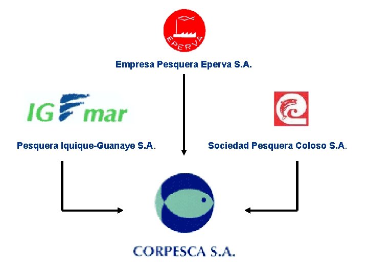 Empresa Pesquera Eperva S. A. Pesquera Iquique-Guanaye S. A. Sociedad Pesquera Coloso S. A.