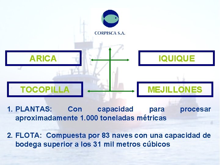 ARICA IQUIQUE TOCOPILLA MEJILLONES 1. PLANTAS: Con capacidad para aproximadamente 1. 000 toneladas métricas