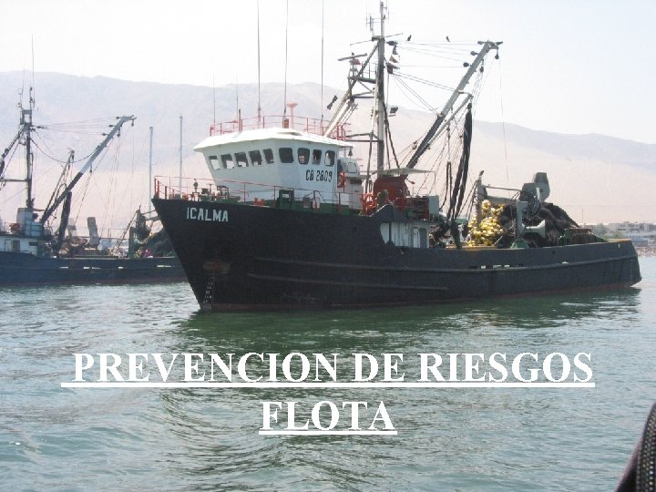 PREVENCION DE RIESGOS FLOTA 