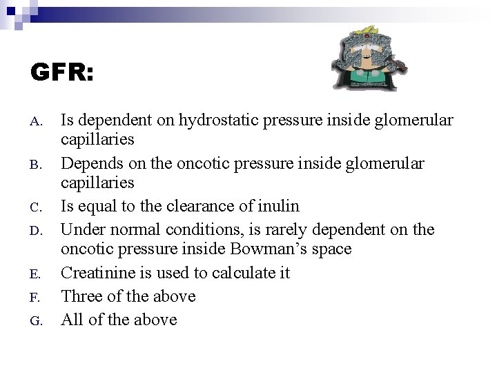 GFR: A. B. C. D. E. F. G. Is dependent on hydrostatic pressure inside