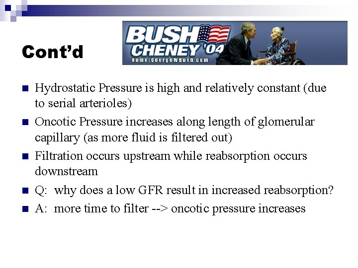 Cont’d n n n Hydrostatic Pressure is high and relatively constant (due to serial