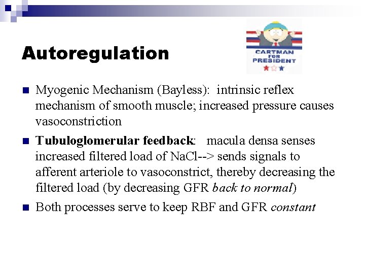 Autoregulation n Myogenic Mechanism (Bayless): intrinsic reflex mechanism of smooth muscle; increased pressure causes