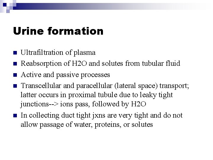 Urine formation n n Ultrafiltration of plasma Reabsorption of H 2 O and solutes