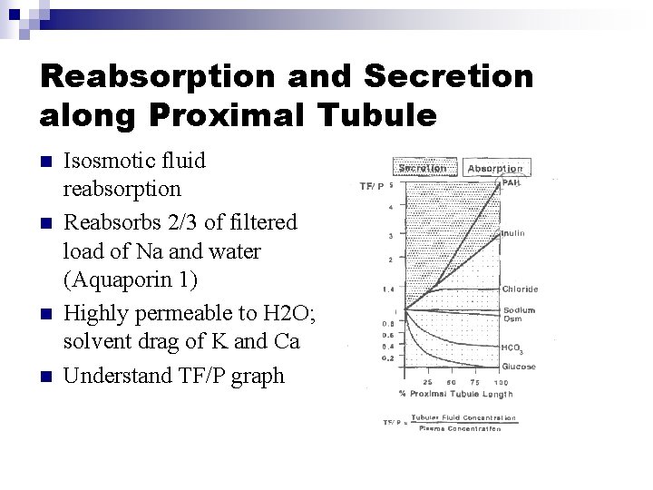 Reabsorption and Secretion along Proximal Tubule n n Isosmotic fluid reabsorption Reabsorbs 2/3 of