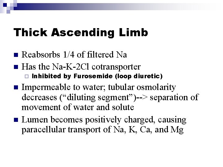 Thick Ascending Limb n n Reabsorbs 1/4 of filtered Na Has the Na-K-2 Cl
